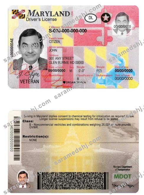 USA Maryland driving license